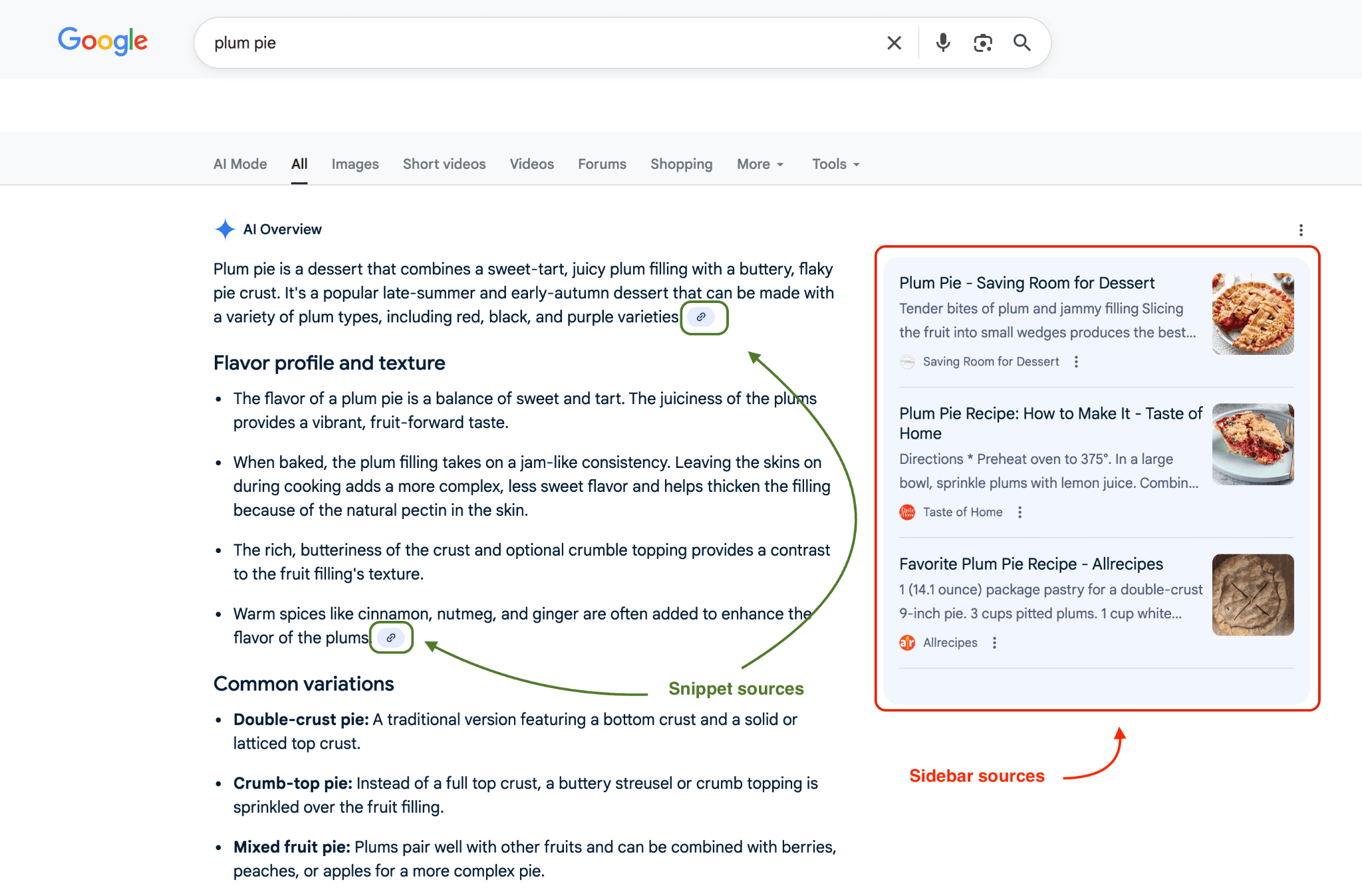 ai-overview-search-result-on-google